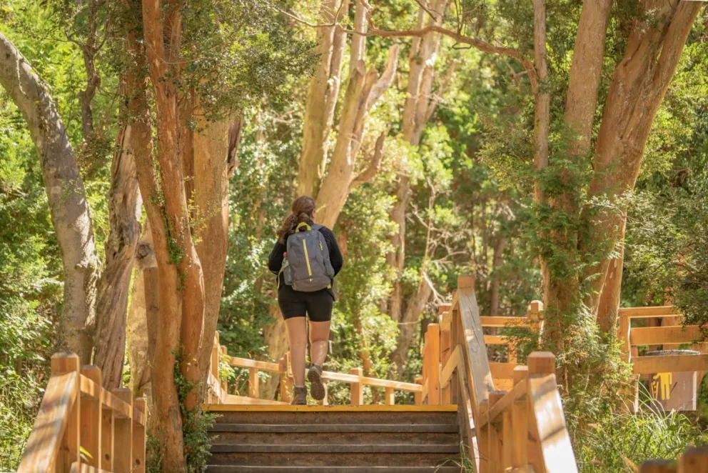Luego de 51 años se creó la Intendencia del Parque Nacional Los Arrayanes