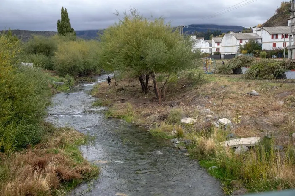 El Municipio trabaja junto a otras instituciones para la remediación ambiental del arroyo Ñireco
