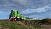 Tren patagónico: Se reanuda el servicio entre San Antonio y Bariloche