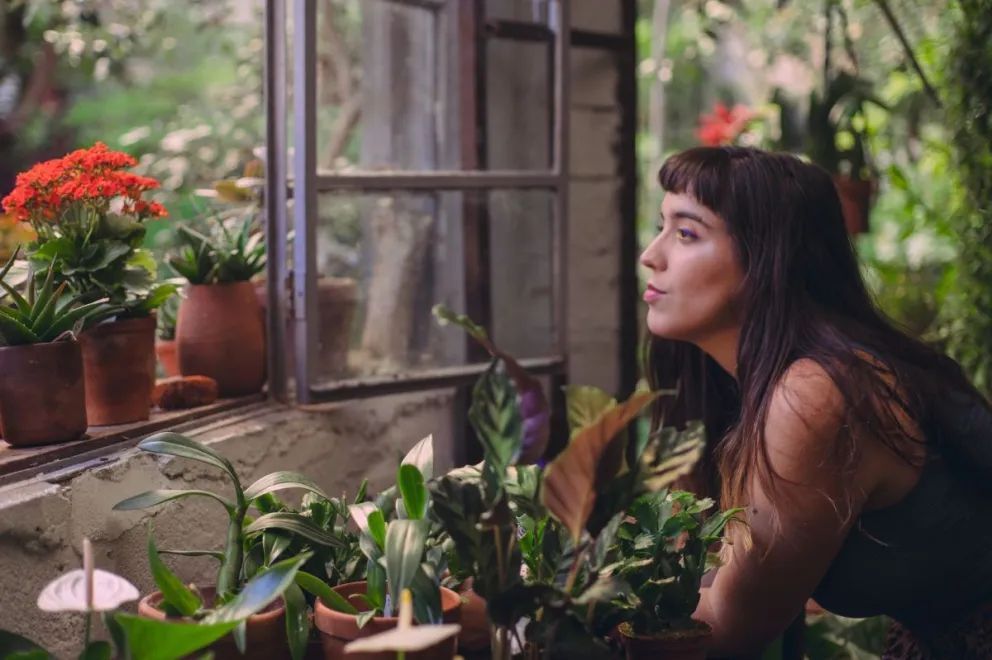 Papina de Palma: “Esta podría ser la señal”